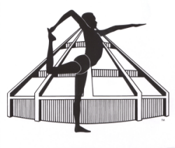 Iyengar Certification